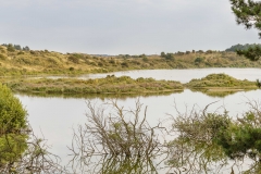 KLein-Bloemendaal-panorama-10-1